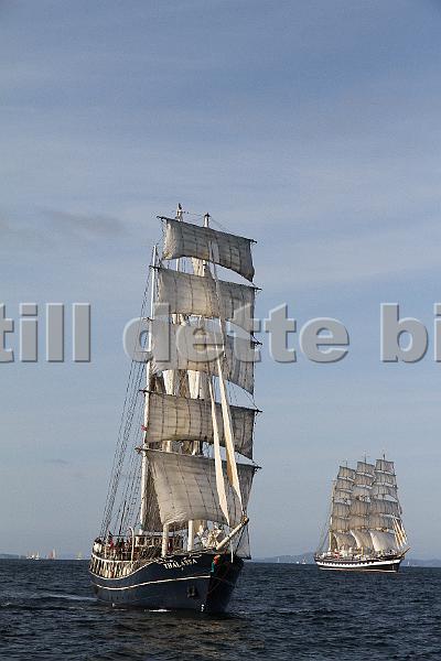 TSR2011_2 910.JPG